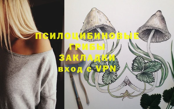 гашиш Михайлов