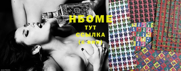 стаф Надым