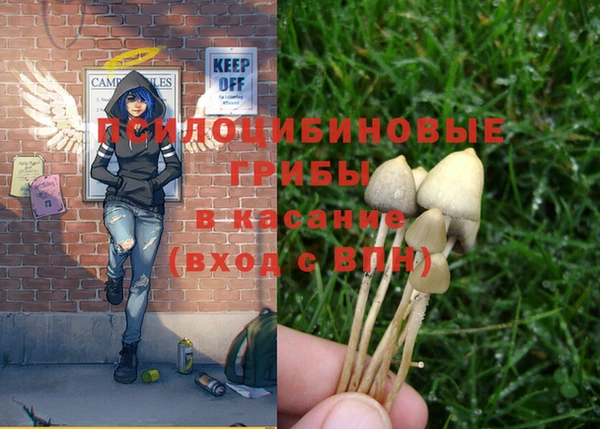 ECSTASY Михайловск
