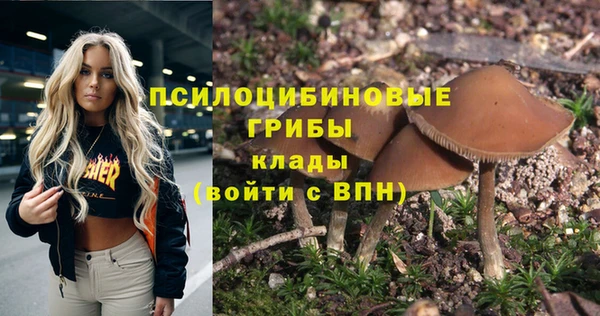 гашиш Михайлов