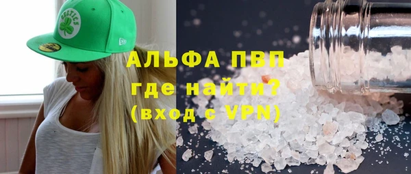 стаф Надым