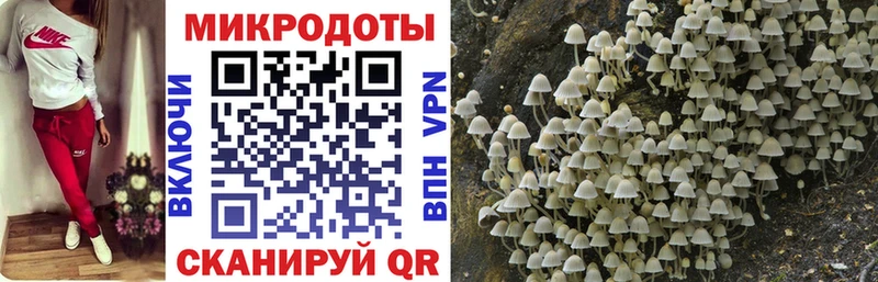 OMG сайт  Новоульяновск  Псилоцибиновые грибы Magic Shrooms 